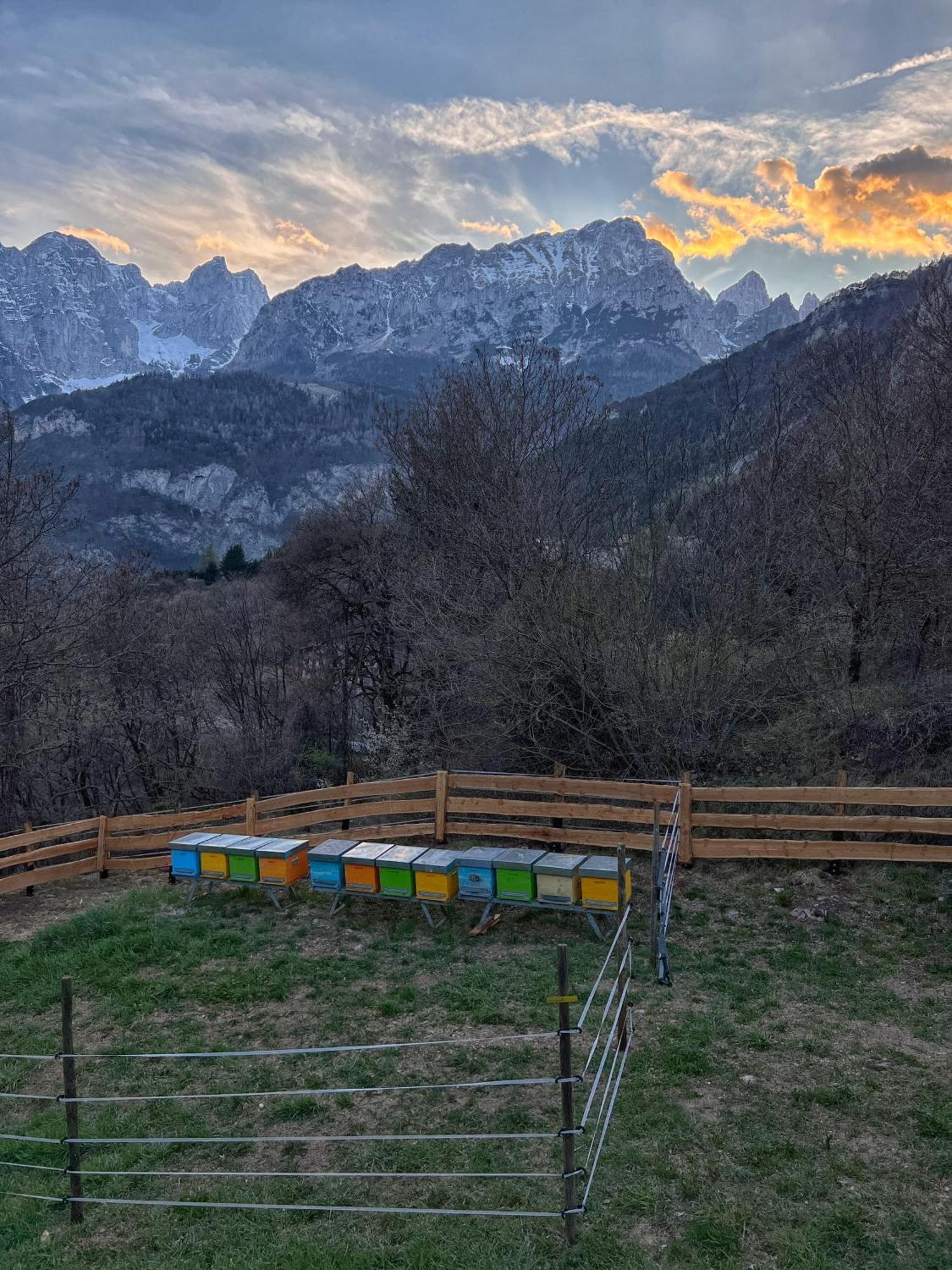 Agriturismo Ai Castioni Villa Molveno Exterior foto